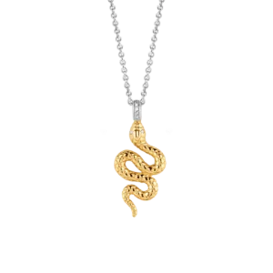 Collar de serpiente